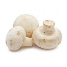 Mushroom Button 1 Box